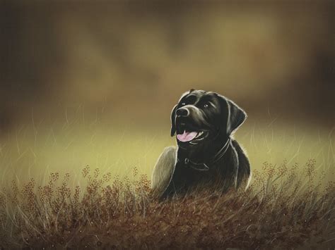 Photos Retriever dog Tongue Grass animal Painting Art 1600x1200