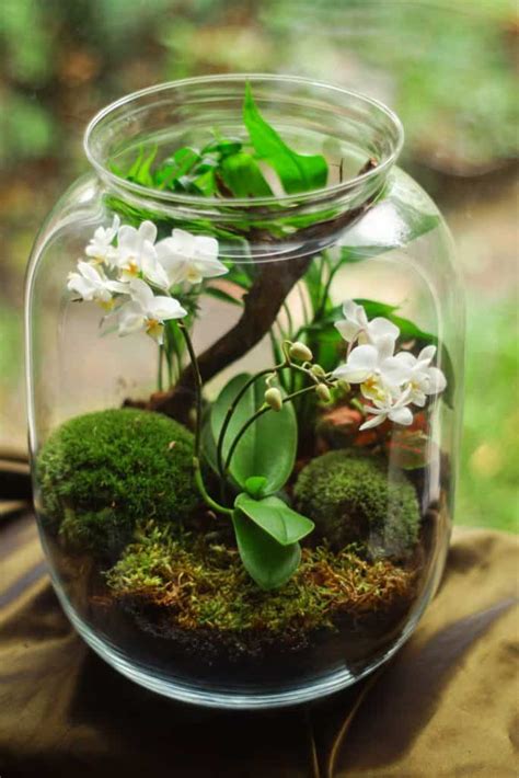 38 Fantastic Moss Terrarium Ideas You Can Have At Home