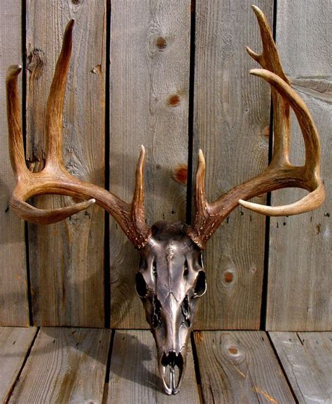 metallic deer skull. I have a perfect 8-point rack deer skull that my dad found in the woods ...