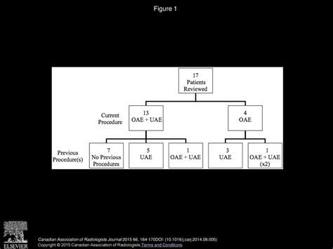 Efficacy of Ovarian Artery Embolization for Uterine Fibroids - ppt download