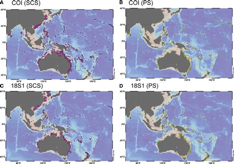 Frontiers | Metabarcoding survey of meroplankton communities in the ...