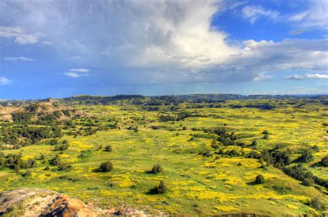 Grasslands and Prairie landscape at Theodore Roosevelt National Park ...