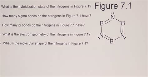 Solved What is the hybridization state of the nitrogens in | Chegg.com