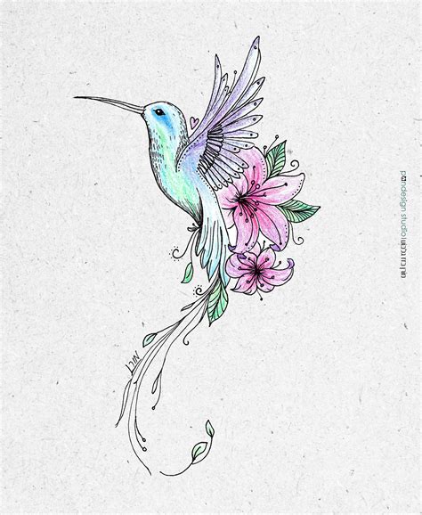 Hummingbird Draw on Behance