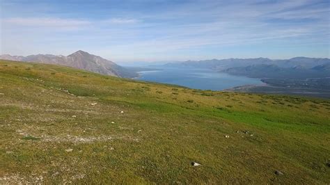 Carbon Cycles And Climate Change In The Tundra : ABC iview