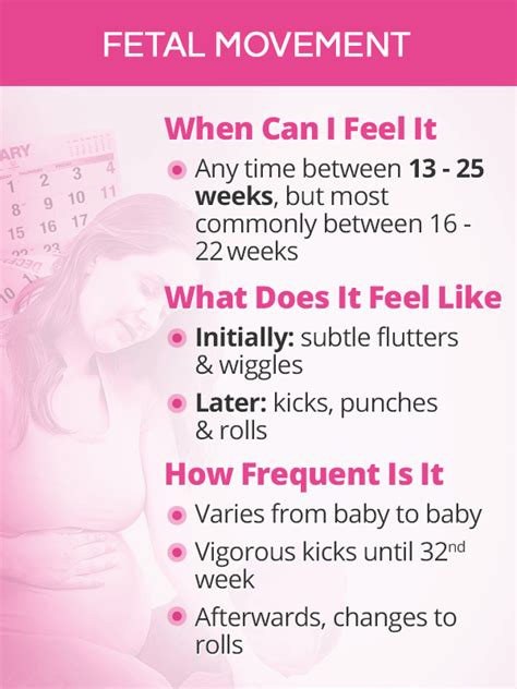 Fetal Movement: Baby Kick Count | SheCares