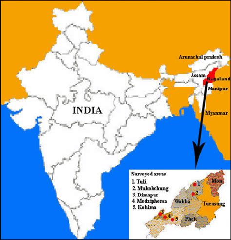 Nagaland In India Map