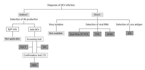 Hepatitis C virus: Virology, diagnosis and treatment