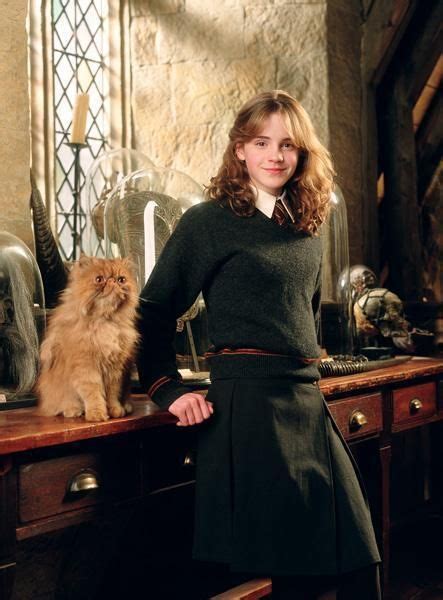 Hermione Granger year 3