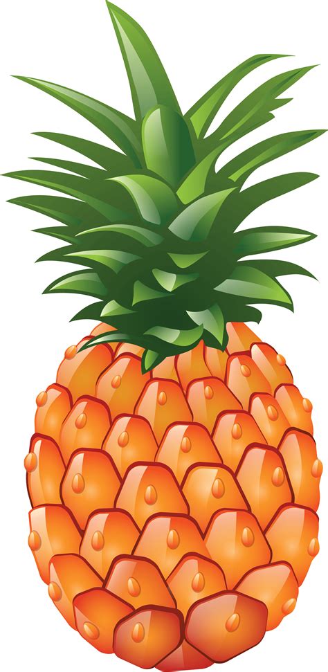 Free Green Pineapple Cliparts, Download Free Green Pineapple Cliparts ...