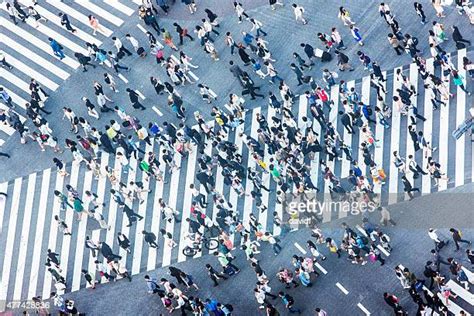 Shibuya Crossing Aerial View Photos and Premium High Res Pictures ...