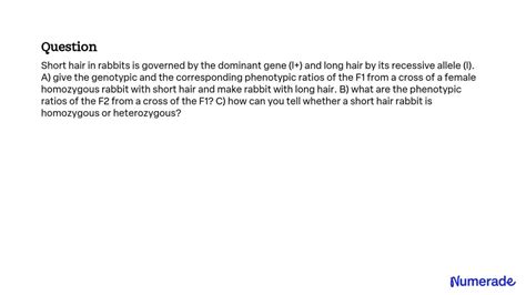 SOLVED: Short hair in rabbits is governed by the dominant gene (l+) and long hair by its ...