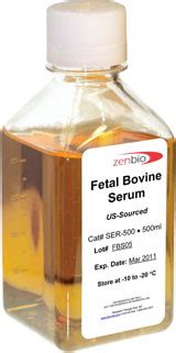 Fetal Bovine Serum and Iron Fortified-Calf Serum