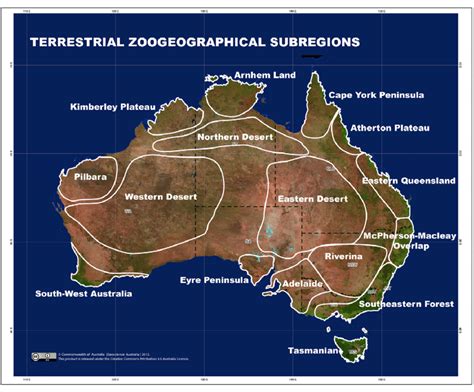 Zoogeographical sub-regions of Australia (excluding New Guinea). | Download Scientific Diagram