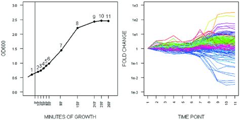 Metabolic changes during E. coli culture growth. (A) Growth curve... | Download Scientific Diagram