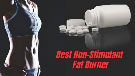 Best Non Stimulant Fat Burners for Appetite Suppression