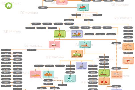 Learn 25 Nabi | MAP