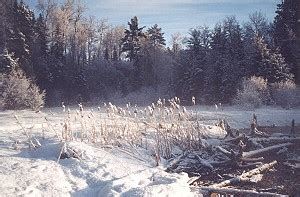 About the Watersmeet, Michigan area - Watersmeet