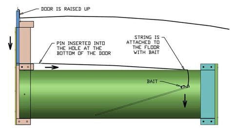 How to Build a DIY Skunk Trap Using a Form Tube - TheDIYPlan