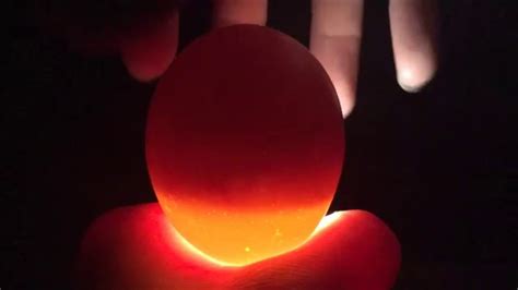 Rhode Island Red chicken eggs Candling 9 Days - YouTube