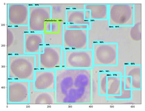 MobileNet SSD v2 Object Detection Model