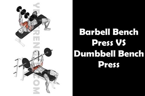 Barbell Bench Press VS Dumbbell Bench Press: Full Guide - Yes Strength