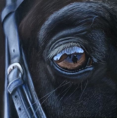 Pastel drawing - Horse Eye Painting by Carole Rodrigue, realistic artworks | Horse painting ...