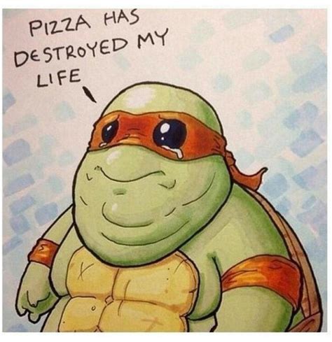 20 Hilarious Teenage Mutant Ninja Turtles Memes That Will Make You ...