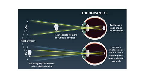 What happens to the image distance in the eye when we increase the ...