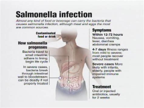 Salmonella Symptoms | www.pixshark.com - Images Galleries With A Bite!