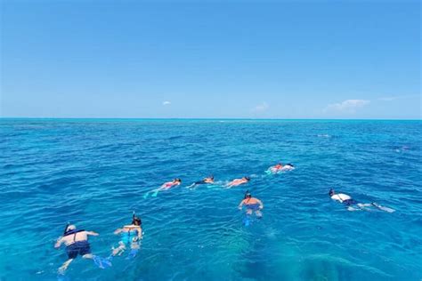 Looe Key reef snorkeling from Bahia Honda State Park 🐠 It was the best snorkeling tour in the ...