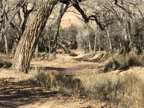 The Not So Quintessential Ghost Ranch - CancerRoadTrip