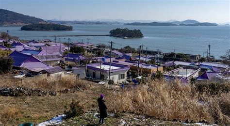 An Island In South Korea Turns Purple After "Borahaefication" And Invites BTS And ARMY To Visit ...