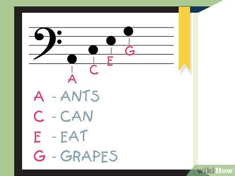 How to Read the Bass Clef: 9 Steps (with Pictures) - wikiHow