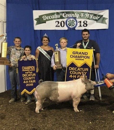 2018 Swine Show Results Decatur County Fair | Local News ...