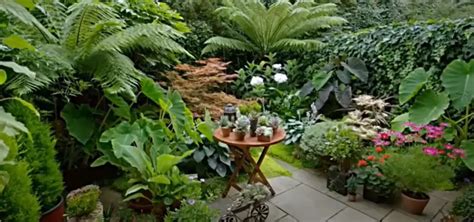 Small Tropical Garden Ideas - GardenProfy