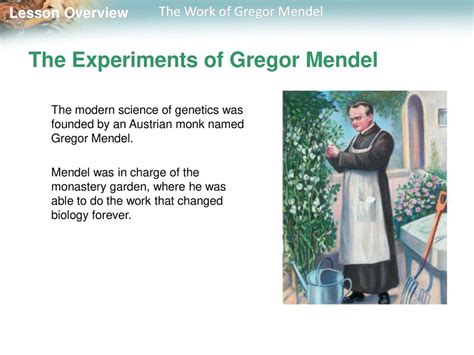 11.1 The Work of Gregor Mendel - ppt download