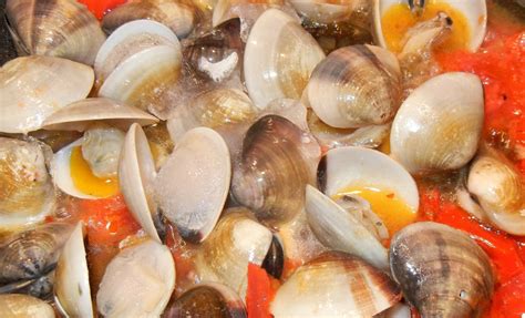 Free Images : dish, food, oyster, seafood, fresh, fish, cuisine, shellfish, invertebrate, clam ...