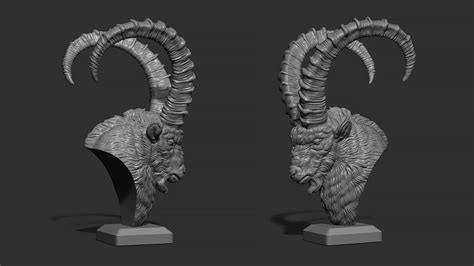 ArtStation - Nubian Ibex bust | Resources