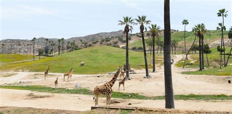 15+ Things to Do in Escondido with Kids (Guide) | Escondido, County park, Things to do