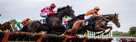 Bangor on Dee Racecourse - Guide, Fixtures, Betting & Tips - 2023