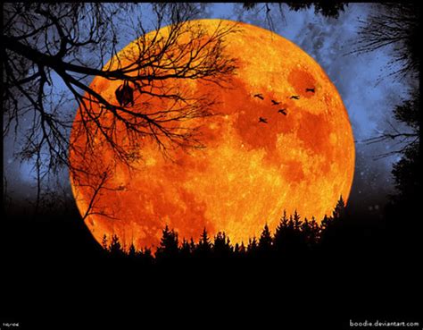 Autumn images Harvest Moon HD wallpaper and background photos (35580323)