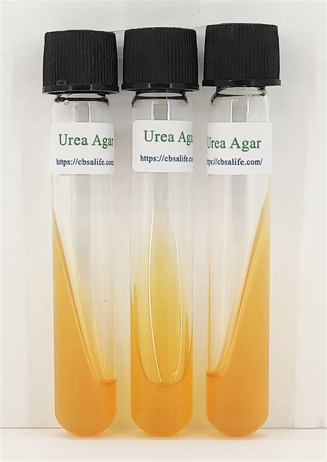 CBSAlife Urea Agar Slant Tube | CBSAlife