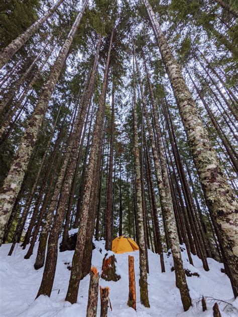 Winter Camping in the Fraser Valley, BC, Canada. My first time posting, but here's a couple of ...