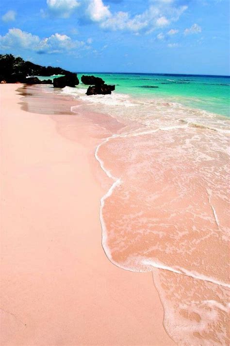 Bermuda pink sands | Places to travel, Vacation spots, Pink sand beach