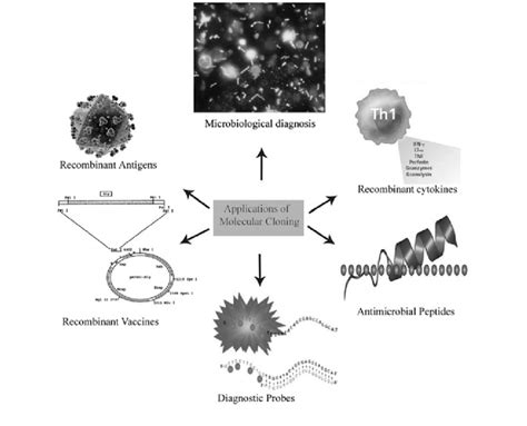 Overview of wide application of molecular cloning. | Download Scientific Diagram