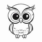 Owl Face Coloring Page Pages sketch template