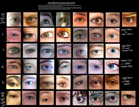 Human Eye Color Chart With Names - Anatomy Pictures Gallery | Eye color chart, Eye color chart ...