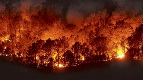 Verde Zona: Efectos de los incendios forestales