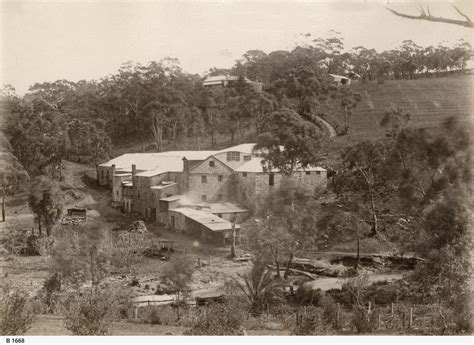 Coromandel Valley • Photograph • State Library of South Australia